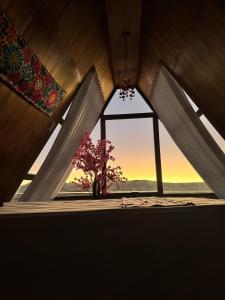 a window in a room with a tree in it at Titicaca deluxe lodge in Puno