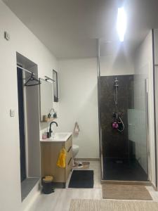 a bathroom with a shower and a sink and a toilet at Chez Fabrice in Lunel +23 photos