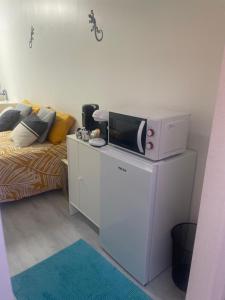 a living room with a microwave on top of a refrigerator at Chez Fabrice in Lunel