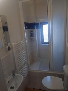 a bathroom with a shower and a toilet and a sink at Zukalka 2KK - 2 in Ostrava +13 photos