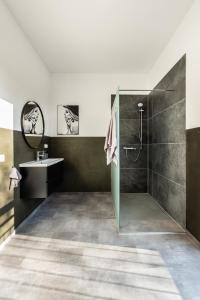 a bathroom with a shower and a sink at Modernes Apartment in Mistelgau 3 in Mistelgau +3 photos