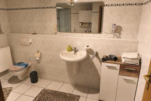 a bathroom with a sink and a toilet and a mirror at Private room with own bathroom in Harsum