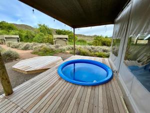 a blue frisbee sitting on a wooden deck at Ouberg Private Nature Reserve in Montagu +8 photos