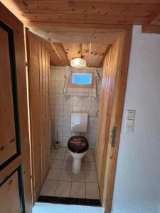a small bathroom with a toilet in a room at FW Langanger in Fischerndorf