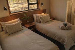 two beds in a small room with a window at Valley View Escape in Uitkeer