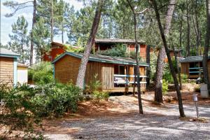ein Haus im Wald mit vielen Bäumen in der Unterkunft Village de Chalets in Joyeuse