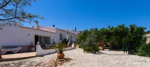 a large white house with a yard with plants at Quinta Velha by GT House in Portimão
