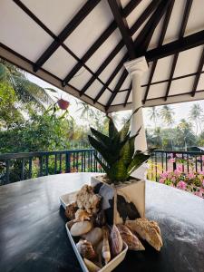 a tray of shells and a plant on a table at Fourcoock Villa in Kosgoda