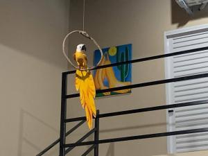 a yellow bird sitting on top of a stand at Pousada Recanto Populina in Populina