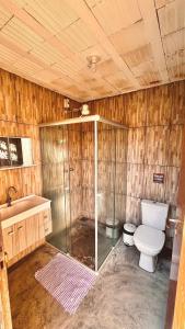a bathroom with a toilet and a shower and a sink at Amazing house with chalet and a beautiful garden in Sêrro +52 photos