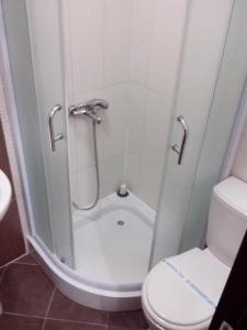 a shower in a bathroom with a toilet at Art B in Ohrid