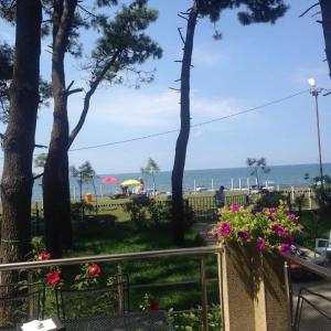 Paesaggio naturale nelle vicinanze dell'hotel
