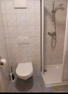 a small bathroom with a toilet and a shower at Apartment Roßleithen in Bahnhof Roßleithen +4 photos