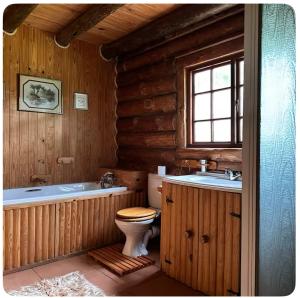a bathroom with a toilet and a tub and a sink at Little Lions in Dullstroom +21 photos
