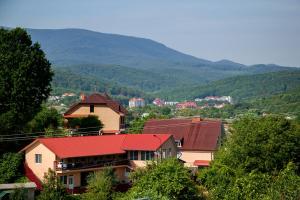 a group of houses with mountains in the background at U Eli in Polyana