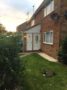 un pato sentado en el césped frente a una casa en Lakeside View, Perton Village en Wolverhampton