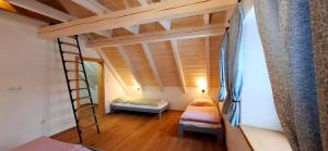 a room with a bunk bed and a ladder at Chalupa Louka in Slavonice