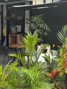 a room filled with lots of plants at The Living Hub in La Dorada