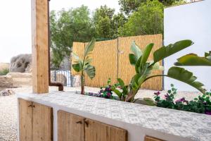 a garden with a fence and some plants at Casa Ubedas in Almería