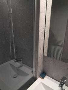 a bathroom with a sink and a mirror at 265 rue du clos capperony in Les Rousses