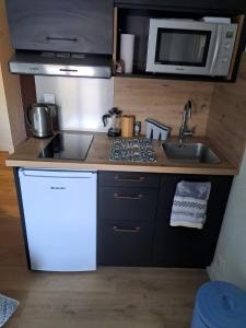 a small kitchen with a sink and a microwave at 265 rue du clos capperony in Les Rousses