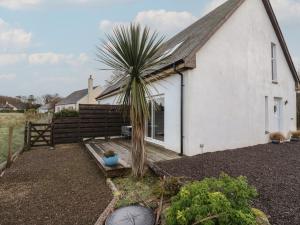a palm tree in front of a white building at Sealladh in Appin