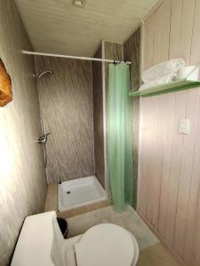a small bathroom with a toilet and a shower at Cabaña monoambiente in Quellón