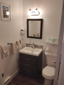 a bathroom with a sink and a toilet and a mirror at acadia sunrise motel in Trenton