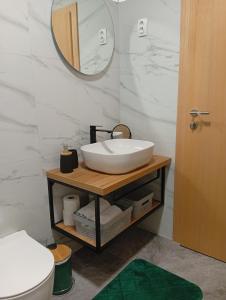 a bathroom with a sink and a mirror at Kuca za odmor PETAR u blizini Parka prirode PAPUK in Lisičine +60 photos