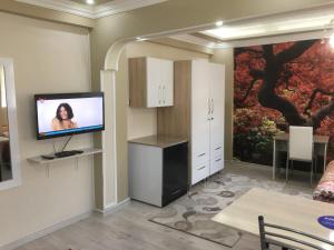 a living room with a flat screen tv on a wall at Bandirma Saglik Apart in Bandırma