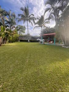 a green yard with palm trees in the background at Exclusive paradise surrounded by nature in Alpuyeca