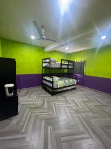 a room with green and purple walls and bunk beds at Exclusive paradise surrounded by nature in Alpuyeca