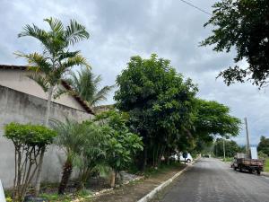 a street with palm trees on the side of a building at Raízes do Cerrado in Cavalcante