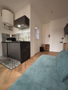 a living room with a kitchen and a bed in it at Le Cocon Dijonnais - Cours Cambronne in Dijon +13 photos
