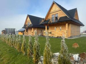 a wooden house with a row of trees in front of it at Sielanka u Stanka in Szaflary