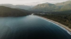 an aerial view of a body of water with a beach at JDF Waystation Cabin - Garden View - Pet Friendly in Port Renfrew +21 photos