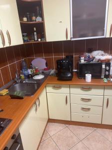 a kitchen counter with a sink and a microwave at Kay Borsa in Alba Iulia
