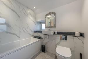 a bathroom with a toilet and a sink and a mirror at Melin-Bennar in Dyffryn +29 photos