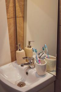 a bathroom sink with two toothbrushes in cups on it at Domek Pod Sosnami in Bronków +31 photos