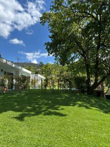 a green yard with a tree and a building at Ri&Vale Alojamentos in Vieira do Minho