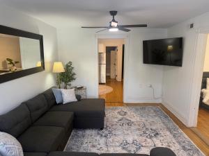 a living room with a couch and a flat screen tv at The Lyons' Lair in Chicago