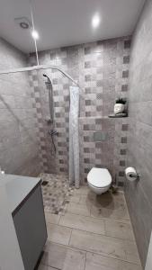 a bathroom with a shower and a toilet in it at Ventė Stay apartment in Ventė