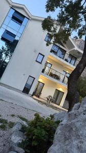 a large white building with a tree in front of it at Kovacevic Apartments in Kotor