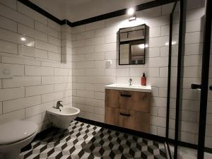 a bathroom with a sink and a toilet and a mirror at Apartmány Pekárna in Staré Město +42 photos
