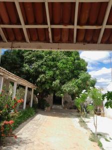 a view of a yard with a tree and a building at Pousada Umari in Salgueiro