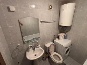 a small bathroom with a toilet and a sink at Kolasin Rent Apartment in Kolašin