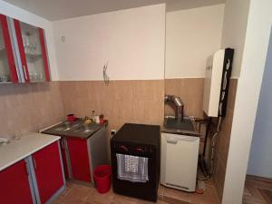 a small kitchen with a sink and a dishwasher at Kolasin Rent Apartment in Kolašin
