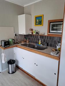 a kitchen with a sink and a counter top at Fieldview Arapuni B&B in Putaruru