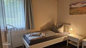a small bed in a room with a window at Andreas in Lenz +2 photos