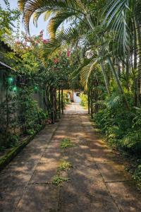 a pathway in a garden with palm trees and flowers at Pousada Rancho in Angra dos Reis